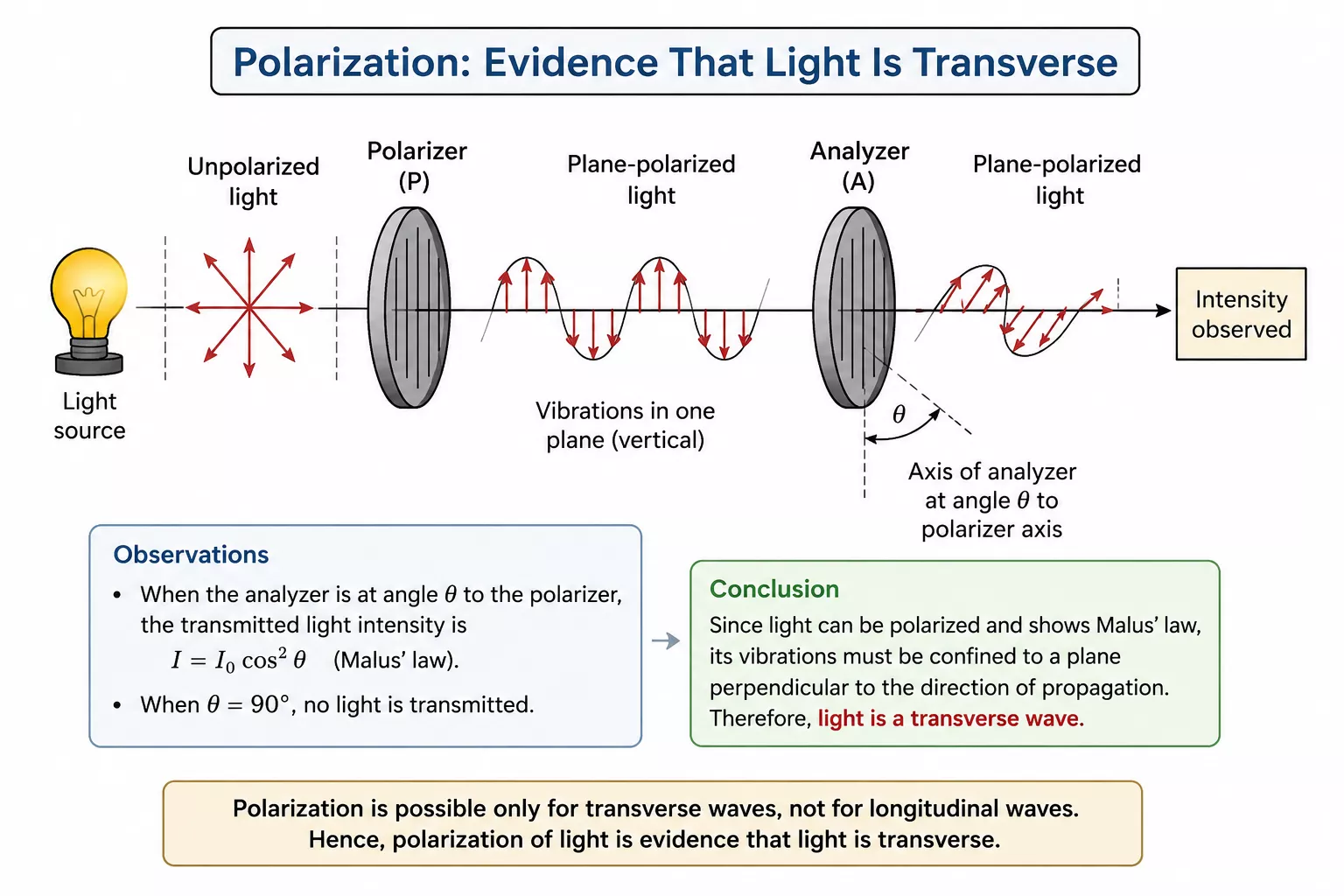 Transverse wave 6 Polarization Evidence That Light Is Transverse