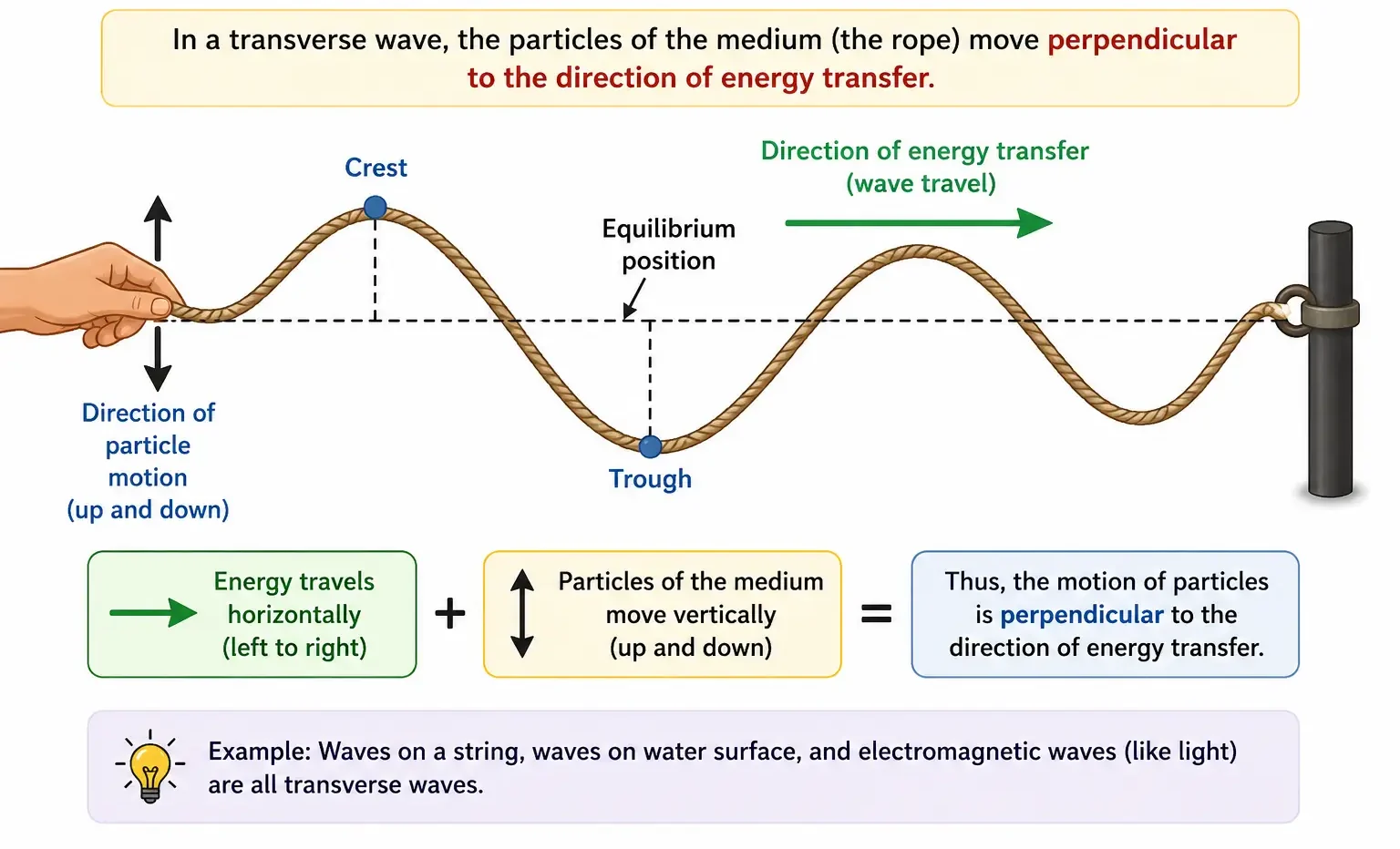 Transverse wave 7 Energy Travels in a Transverse Wave
